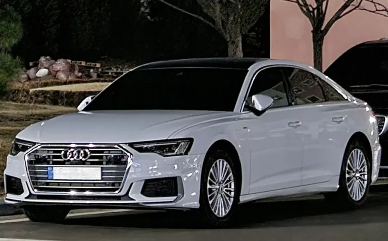 Audi A6 with chauffeur in Goa